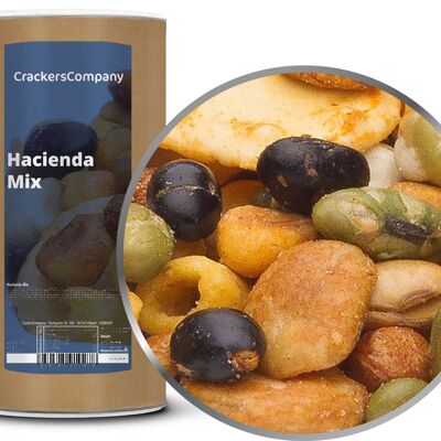 Mix snack forte, Hacienda Mix PU con 9 pezzi. u. Contenuto 350 g per pezzo.