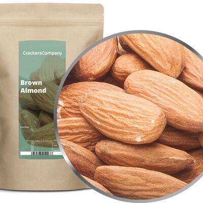 Amandes en coque, Amande Brune PU de 8 pièces. toi. Contenu de 500 g par pièce.