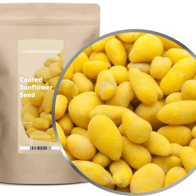 Semillas de girasol de cúrcuma, semillas de girasol recubiertas, paquete de 8 Ud. Contenido de 550 g por pieza.