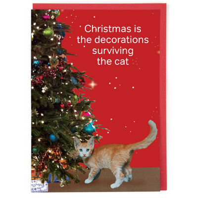 Il biglietto di Natale del gatto