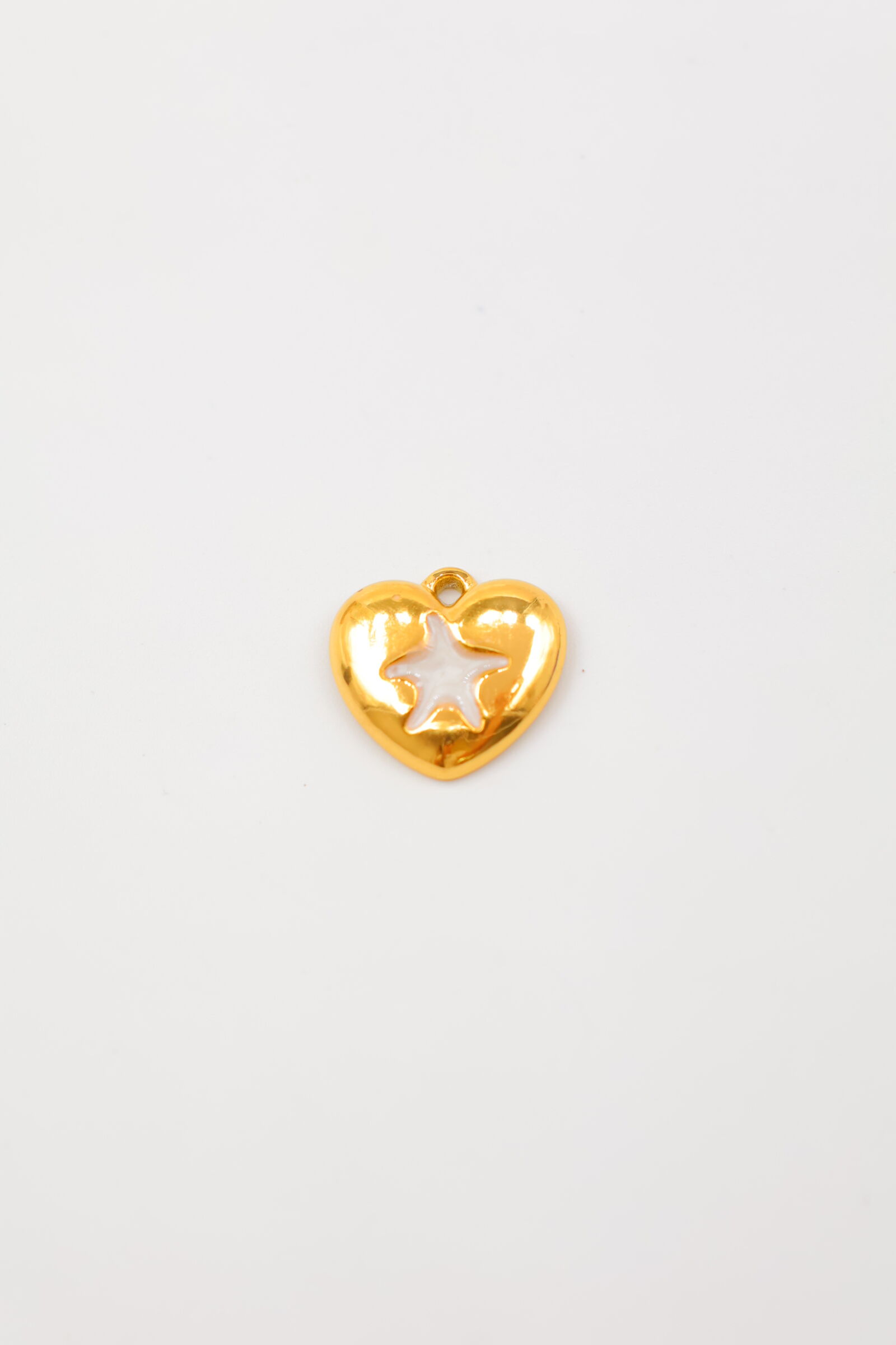 Pendentif en acier inoxydable - PENDENTIF16