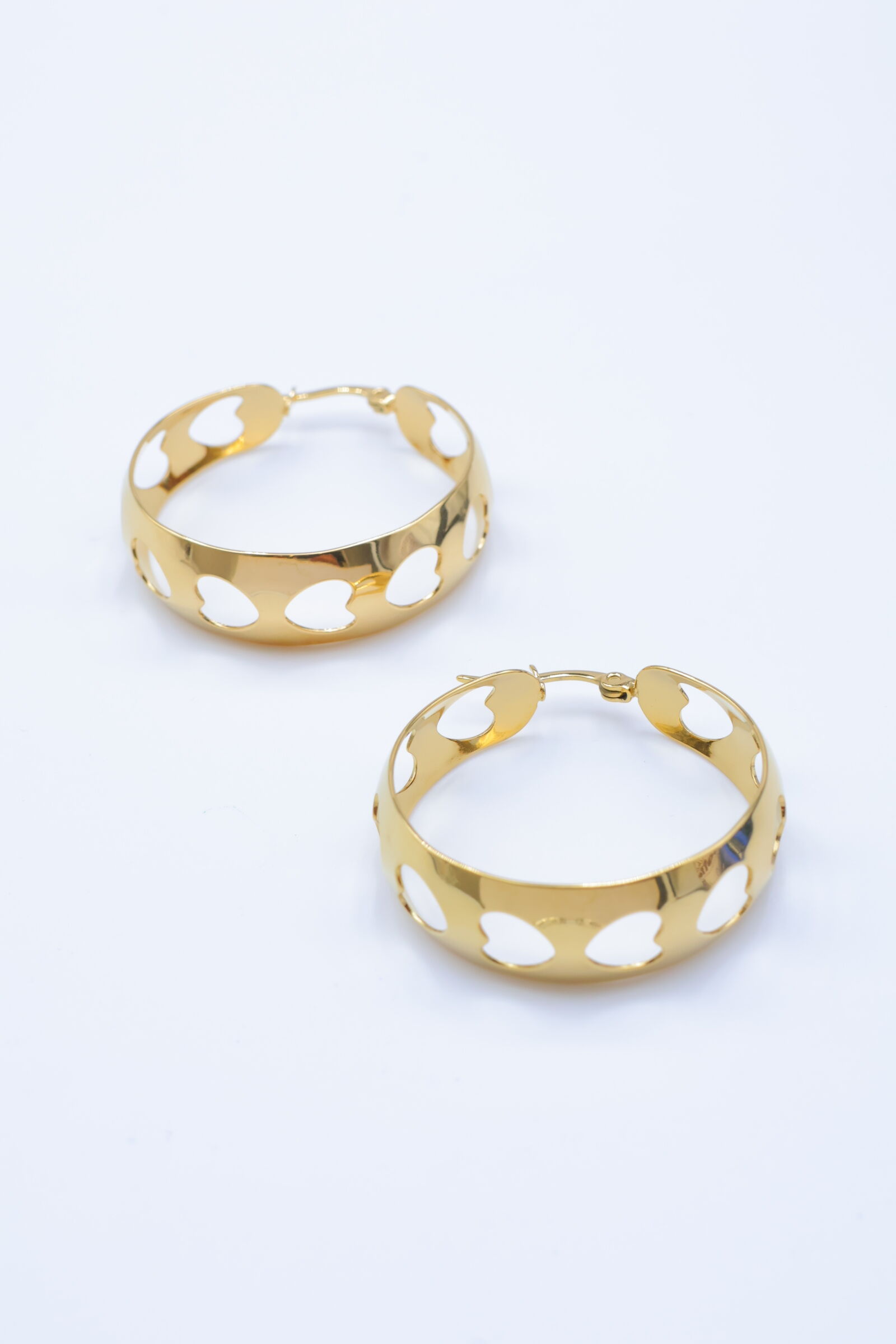 Orecchini a cerchio in acciaio inossidabile - Y204