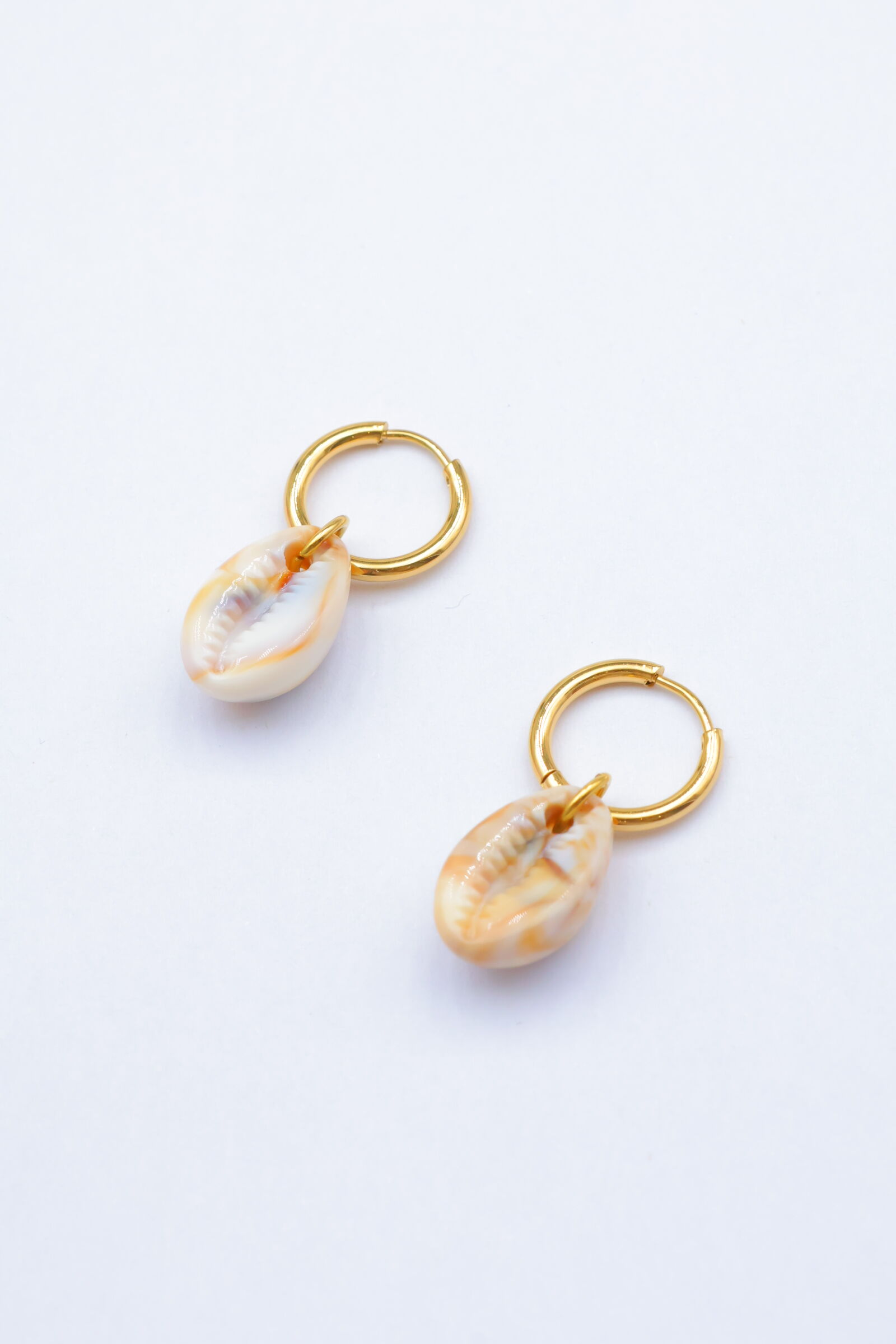 Boucles d'oreilles en acier inoxydable - BL181B