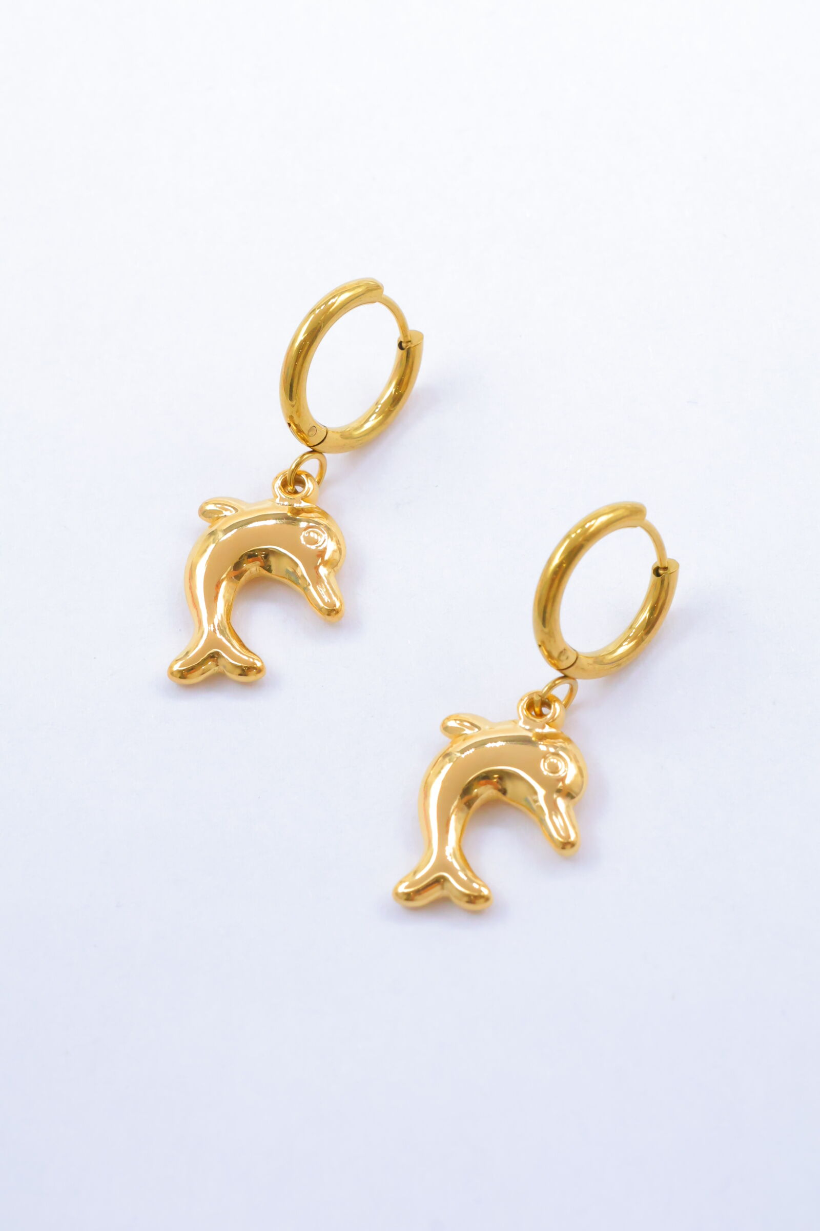 Boucles d'oreilles en acier inoxydable - G230B