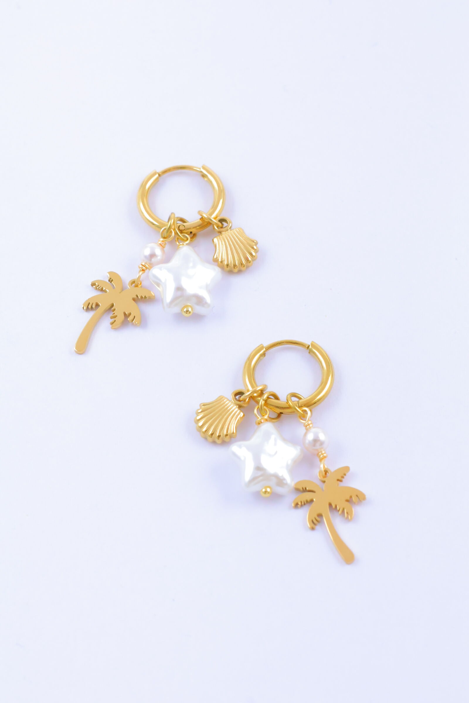 Orecchini in acciaio inossidabile - A1978