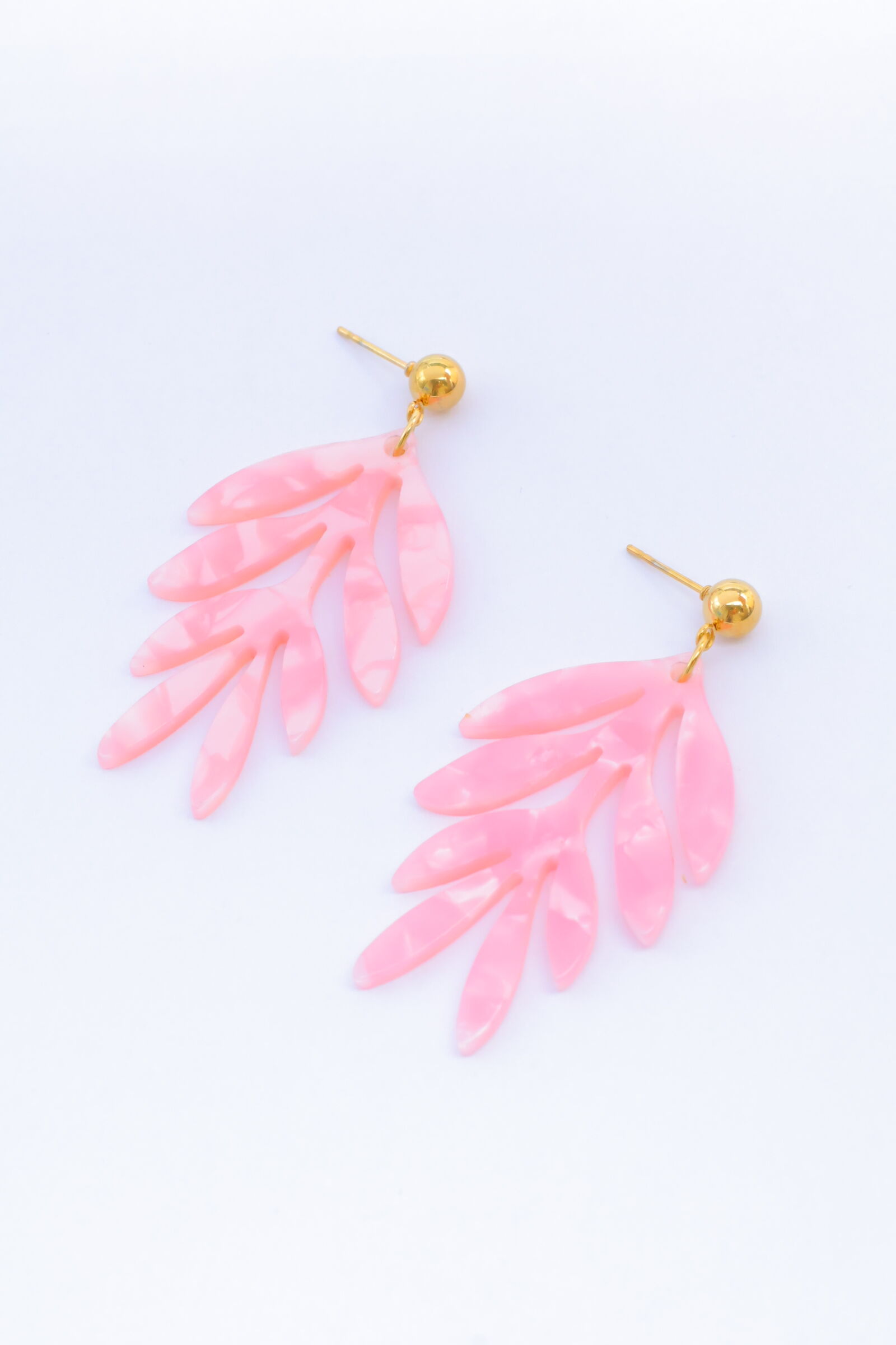 Orecchini in acciaio inossidabile - BL172B