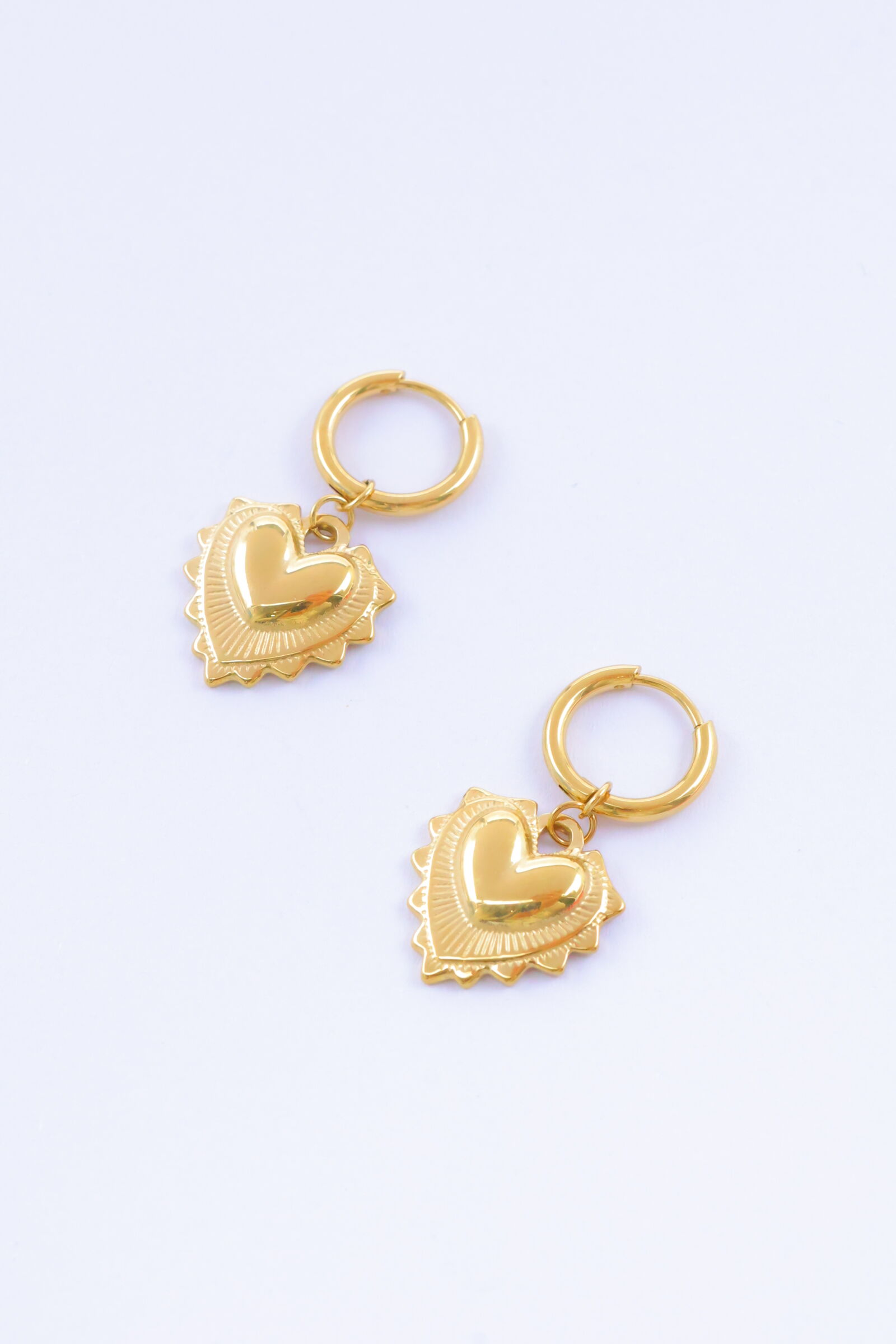 Edelstahl Ohrringe - E617