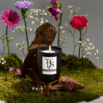 YNEPSIE BOIS MYSTIC Scented candle 180g