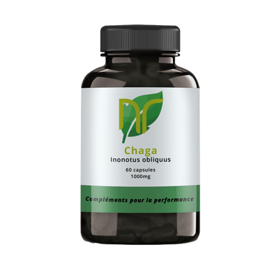 Chaga
