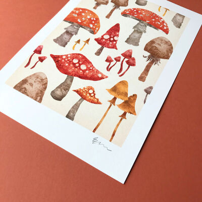 Toadstools A4 Impression artistique