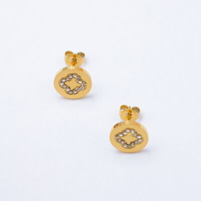 Boucles d'oreilles en acier inoxydable - A531