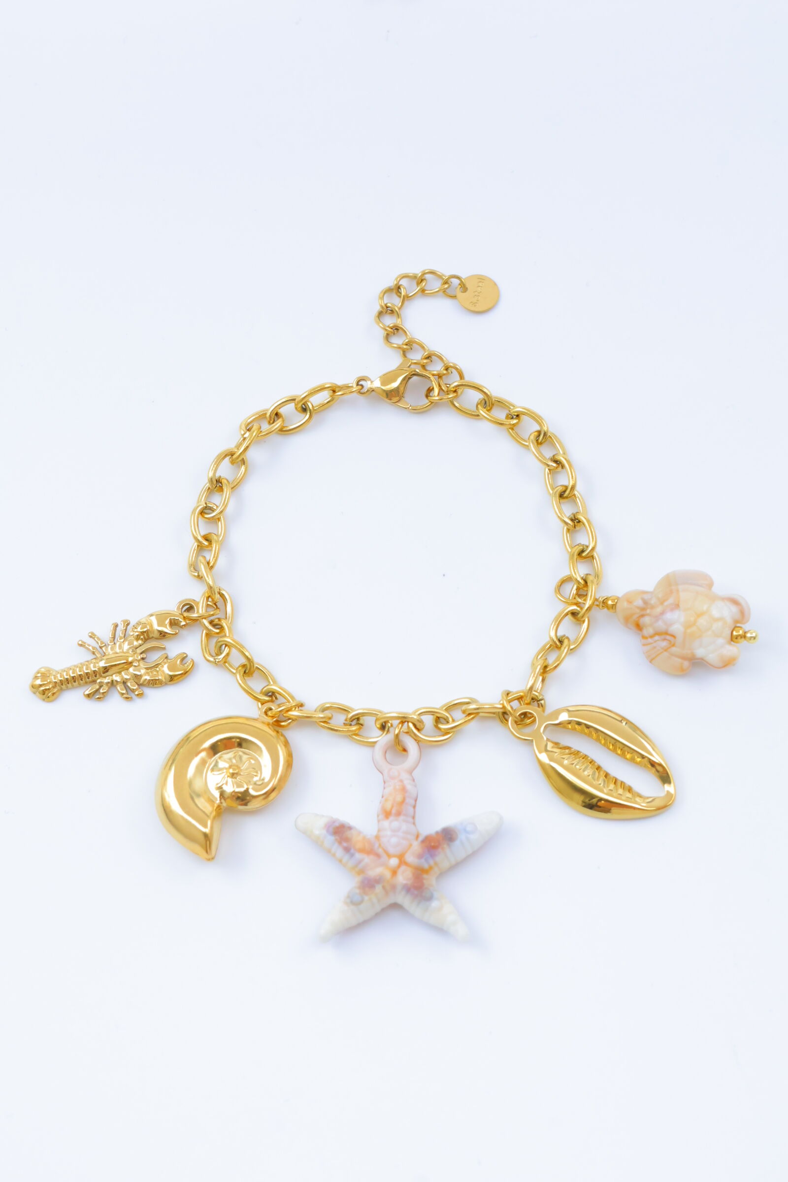 Bracelet en acier inoxydable - A2096A