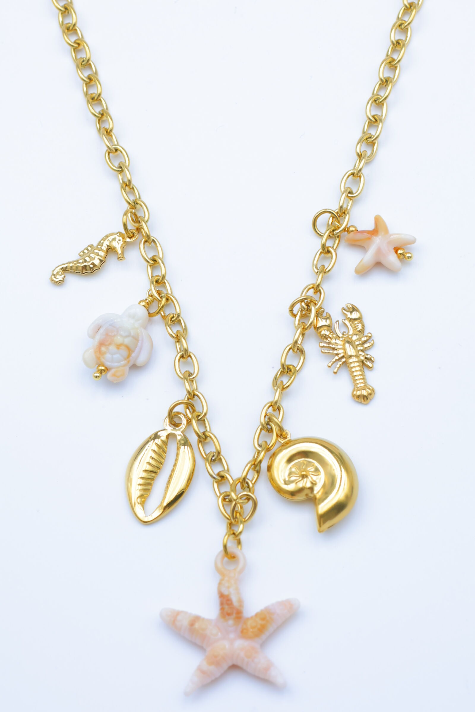 Collier en acier inoxydable - A2096