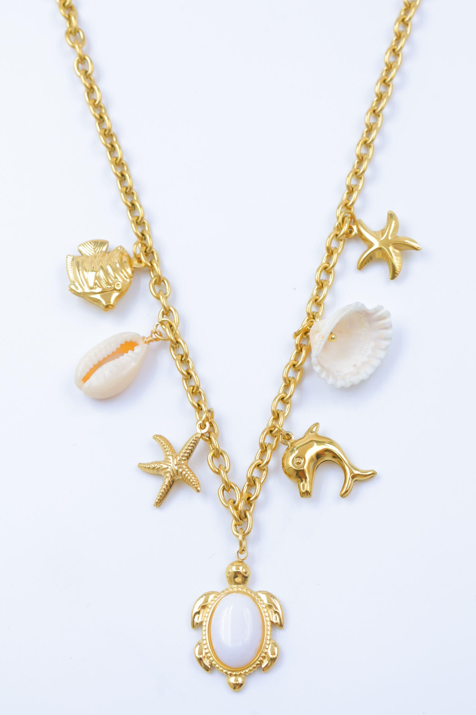 Collier en acier inoxydable - A2095