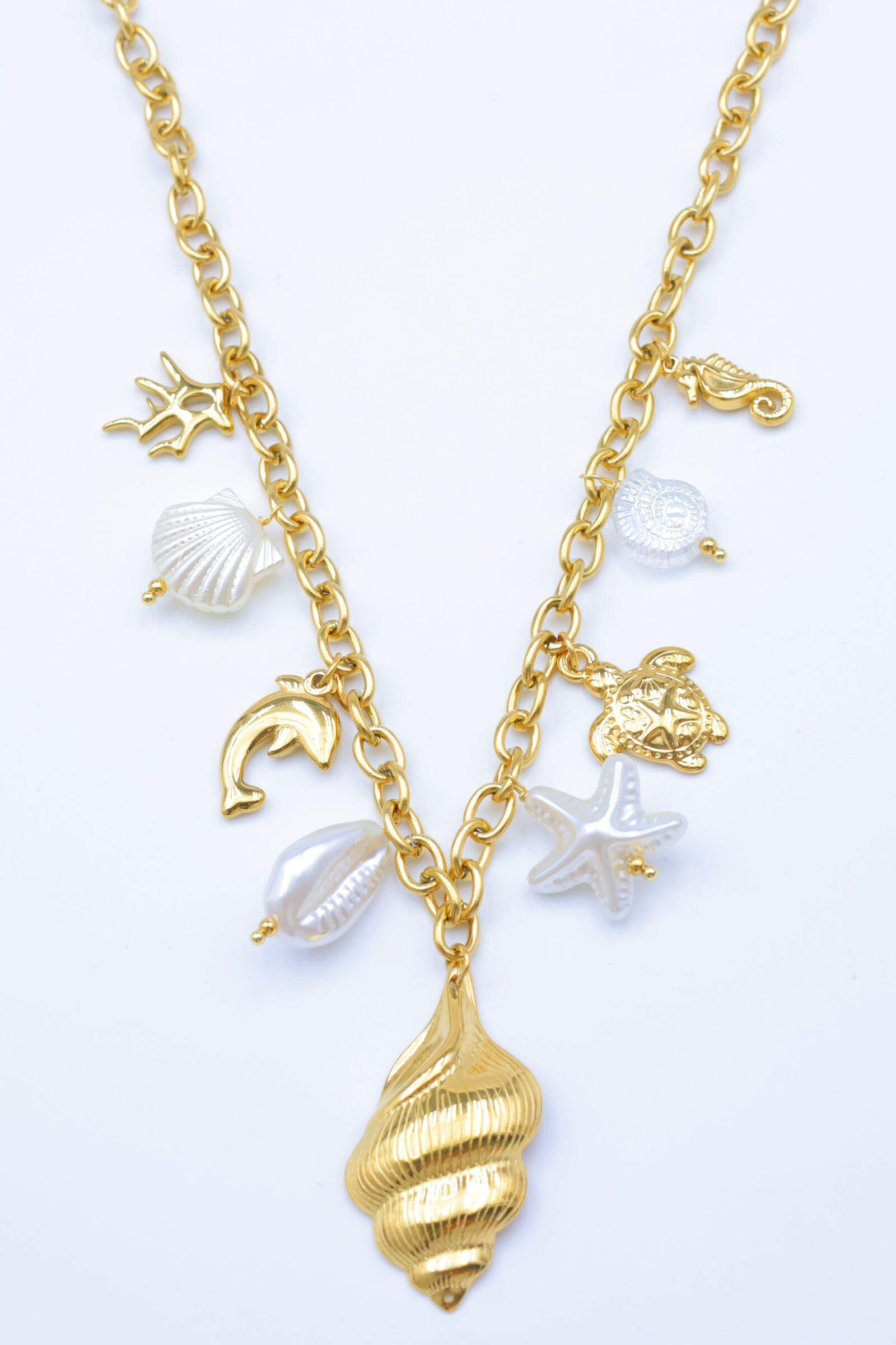 Collier en acier inoxydable - A2018