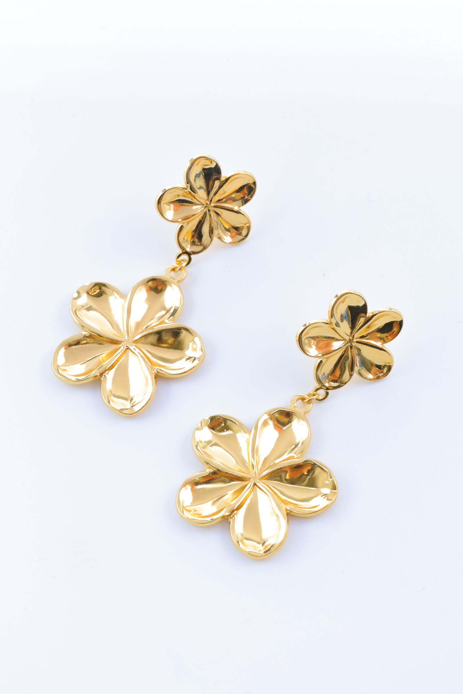 Orecchini in acciaio inossidabile - G250