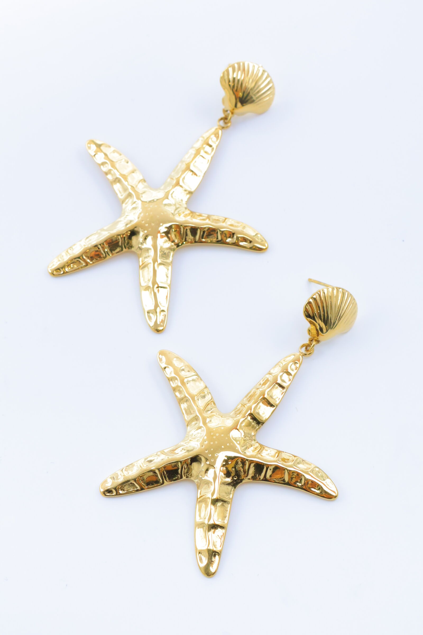 Orecchini in acciaio inossidabile - A2081