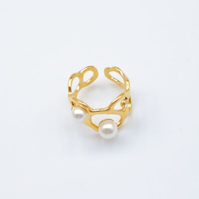 Bague en acier inoxydable ajustable - A2020