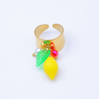 Anillo ajustable de acero inoxidable - A2005