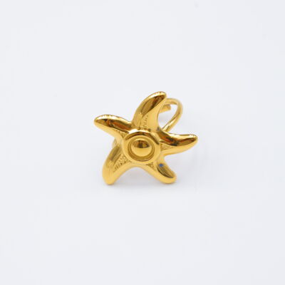 Anillo ajustable de acero inoxidable - A2004