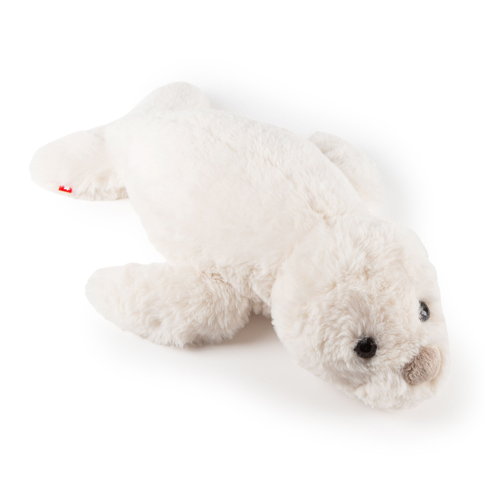 Foca coccolosa, soffice