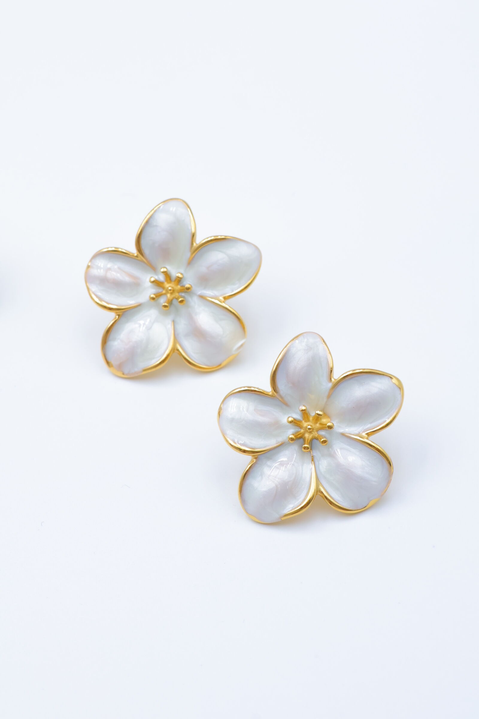 Boucles d'oreilles en acier inoxydable - A2205