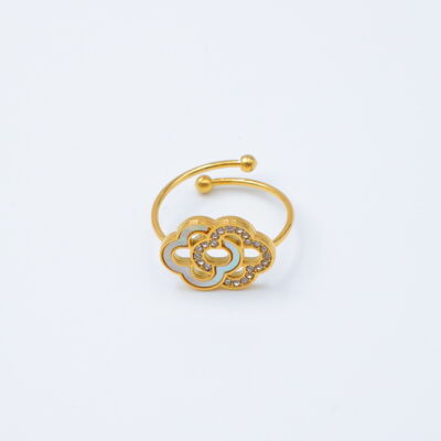 Anillo ajustable de acero inoxidable - ZC18C