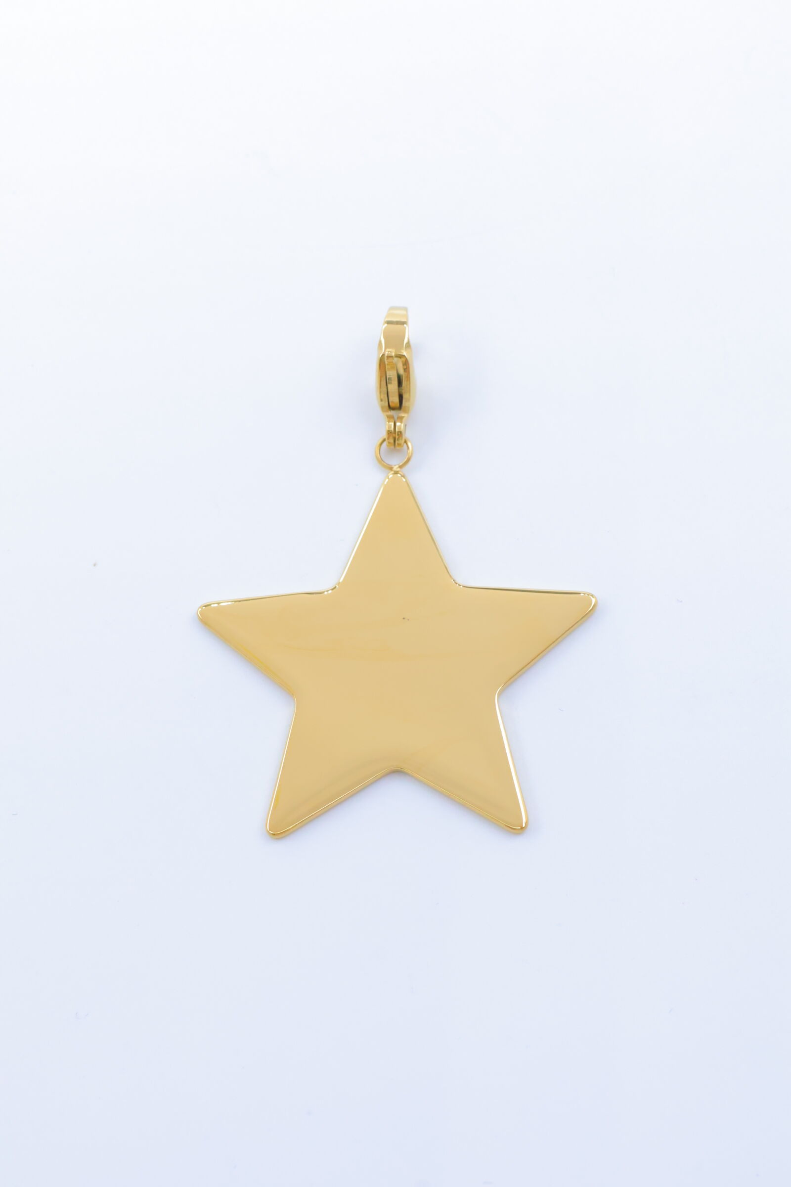 Edelstahl Anhänger - E707