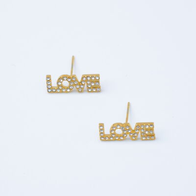 Stainless Steel Earrings - ZC8B