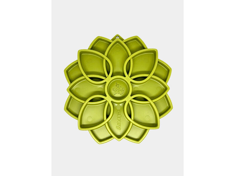 Anreicherungsschale - Mandala - Grün - SodaPup