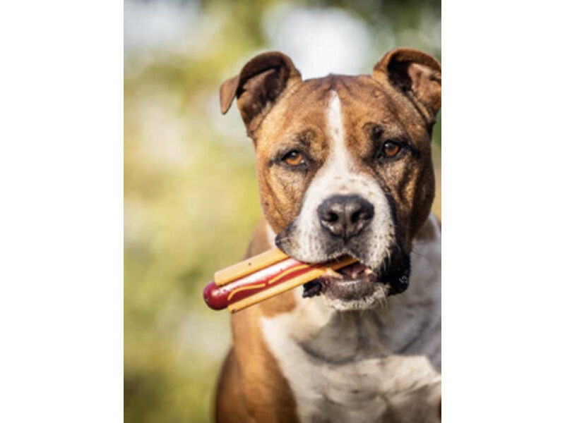 Kauspielzeug - Hot Dog - SodaPup