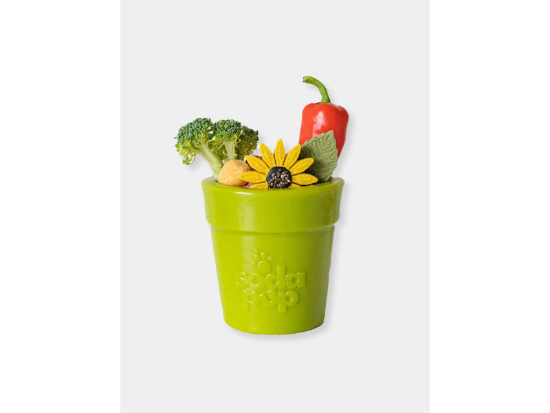 SodaPup – Aktivitätsspielzeug für Hunde mit grünem Blumentopf