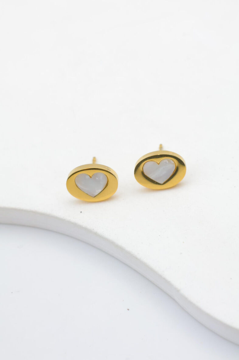 Edelstahl Ohrringe - A510