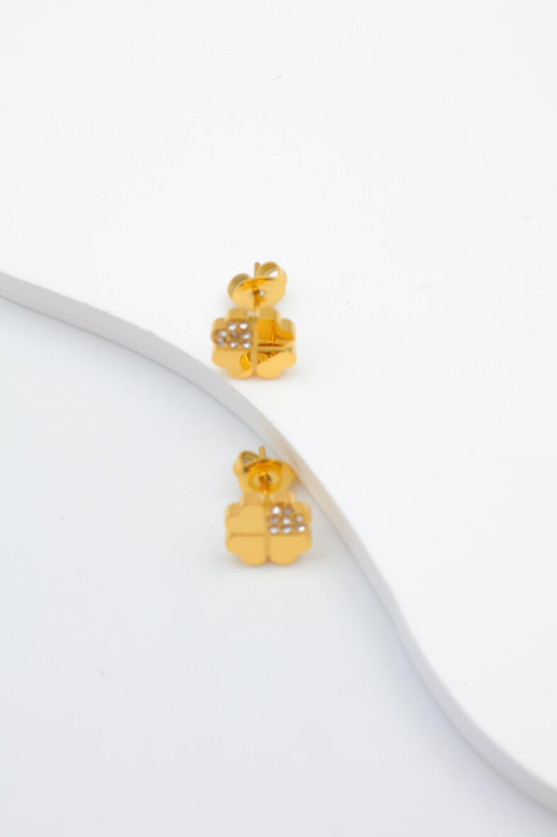 Edelstahl Ohrringe - A923B