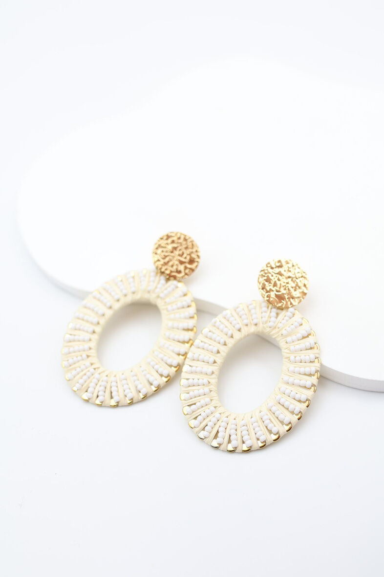 Edelstahl Ohrringe - A977A