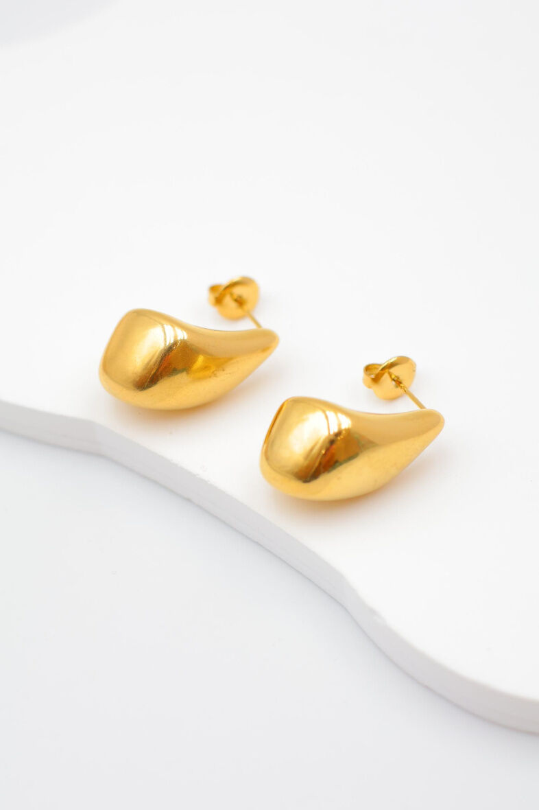 Orecchini in acciaio inossidabile - A987