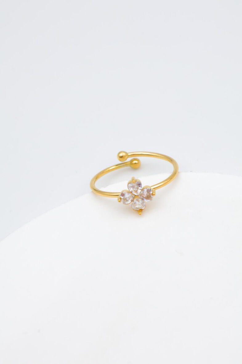 Verstellbarer Edelstahlring - A1058