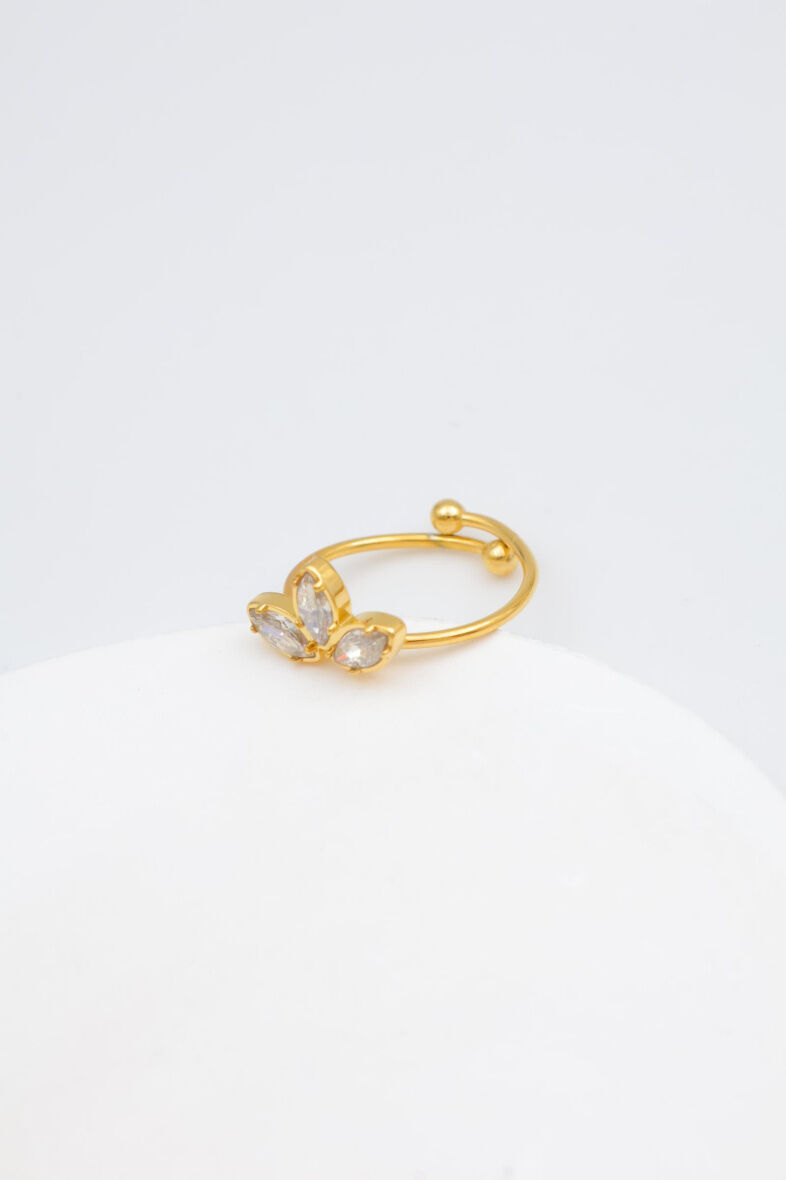 Verstellbarer Edelstahlring - A1111