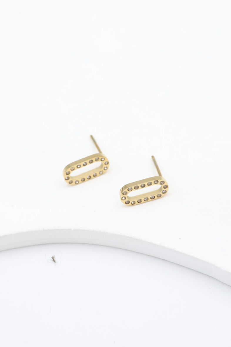 Edelstahl Ohrringe - A1208B