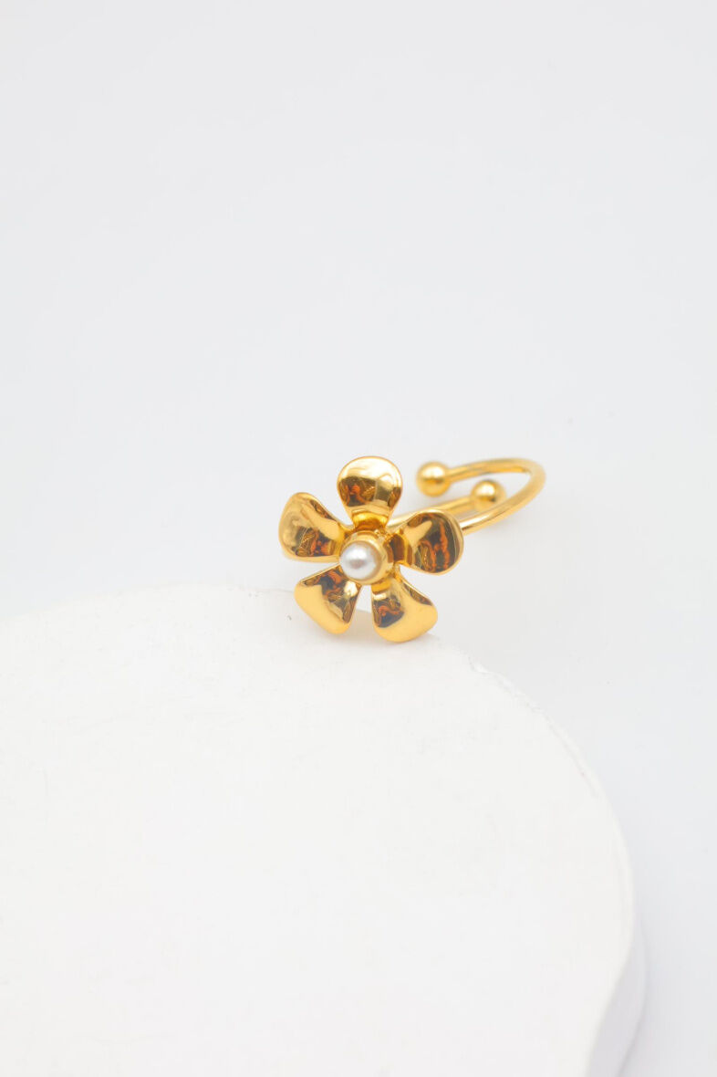 Anillo ajustable de acero inoxidable - A1352