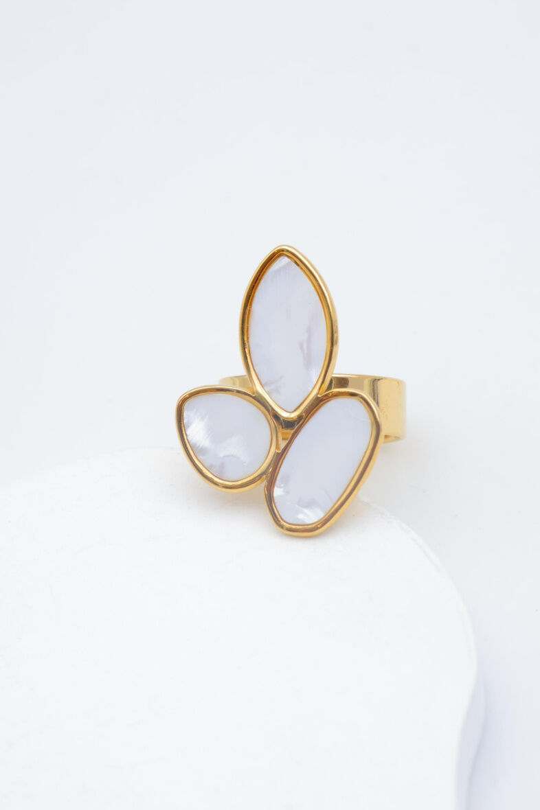 Verstellbarer Edelstahlring - A1440