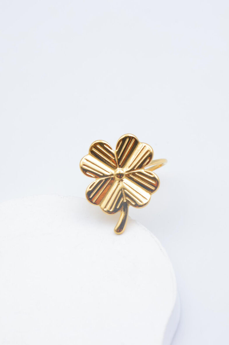 Verstellbarer Edelstahlring - A1476