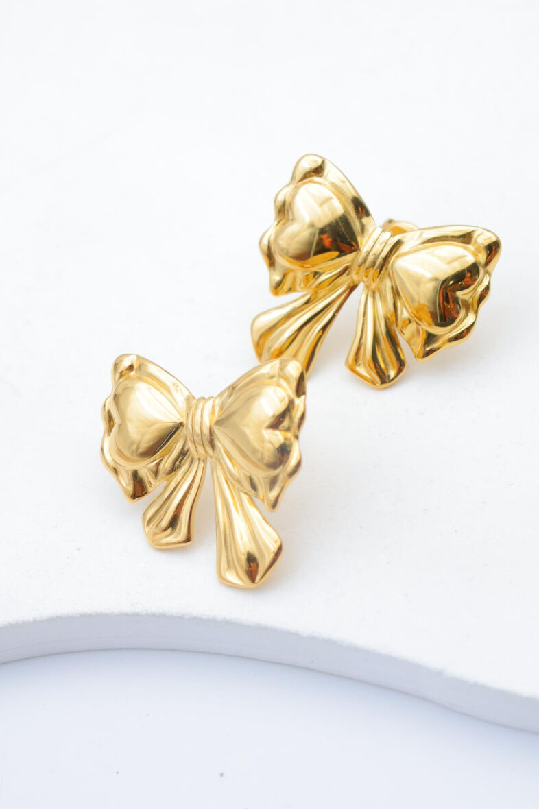 Orecchini in acciaio inossidabile - A1499