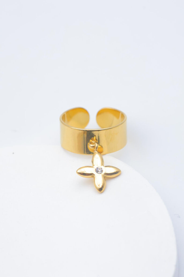 Verstellbarer Edelstahlring - A1504