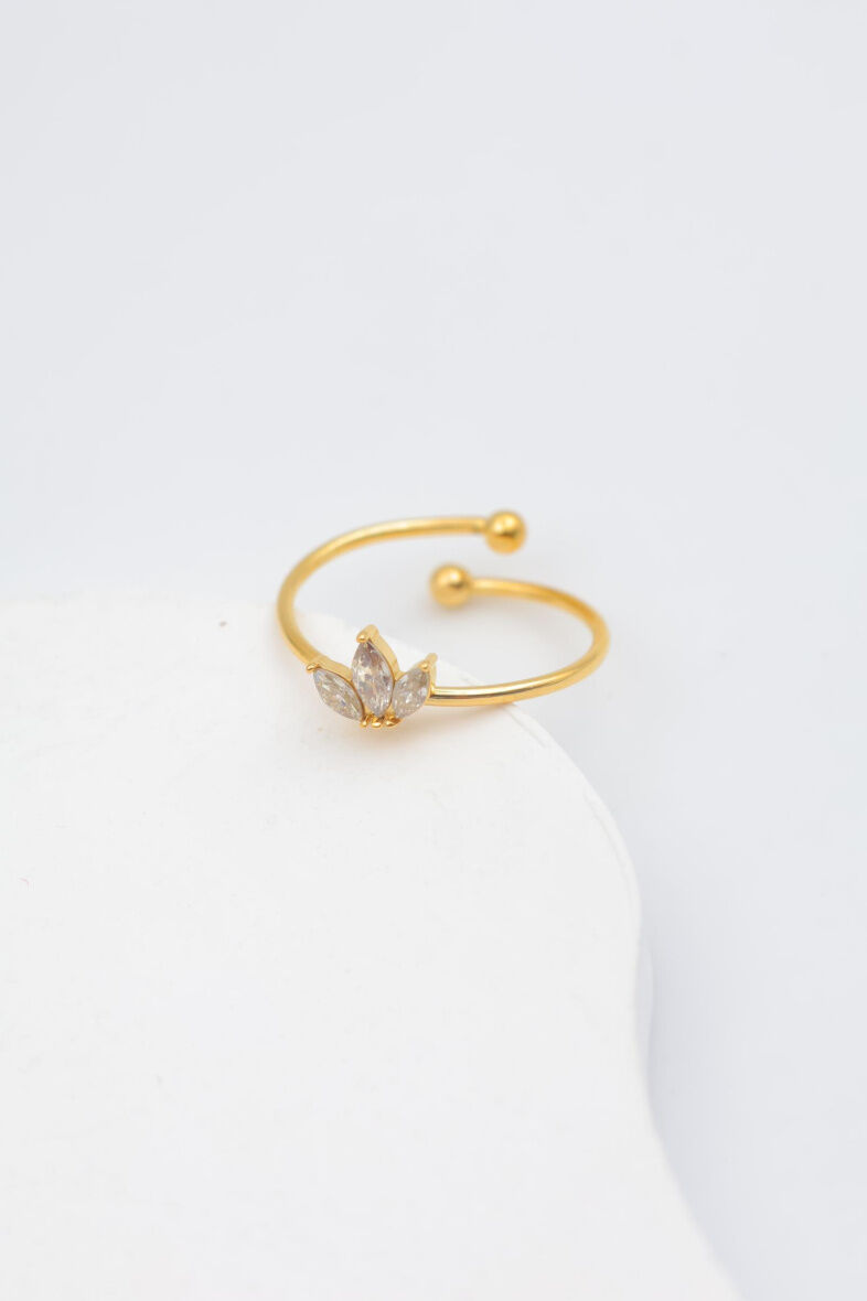 Verstellbarer Edelstahlring - AA04