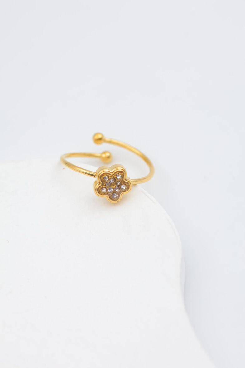 Verstellbarer Edelstahlring - AA06