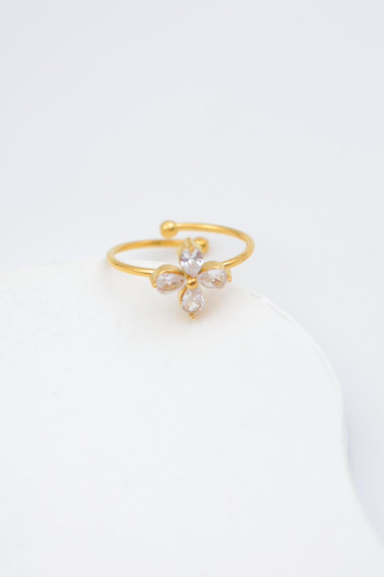 Anello regolabile in acciaio inossidabile - AA11