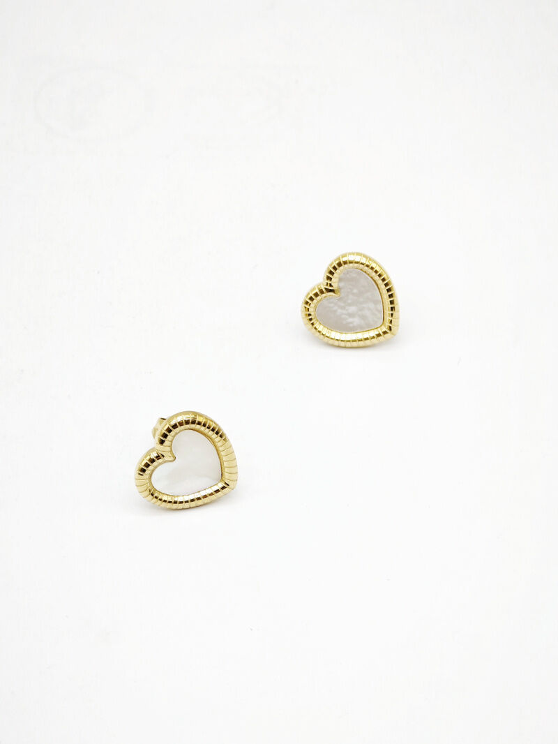 Boucles d'oreilles en acier inoxydable - B15B