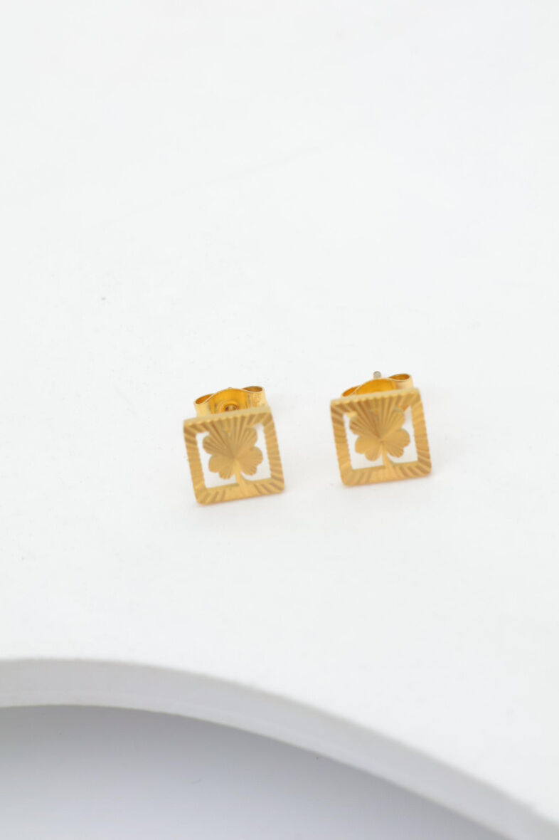 Boucles d'oreilles en acier inoxydable - E04B