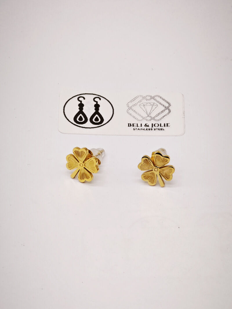 Boucles d'oreilles en acier inoxydable - E07B